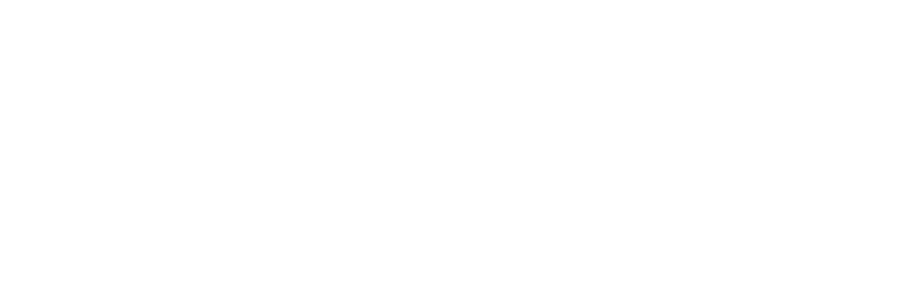 logo footer